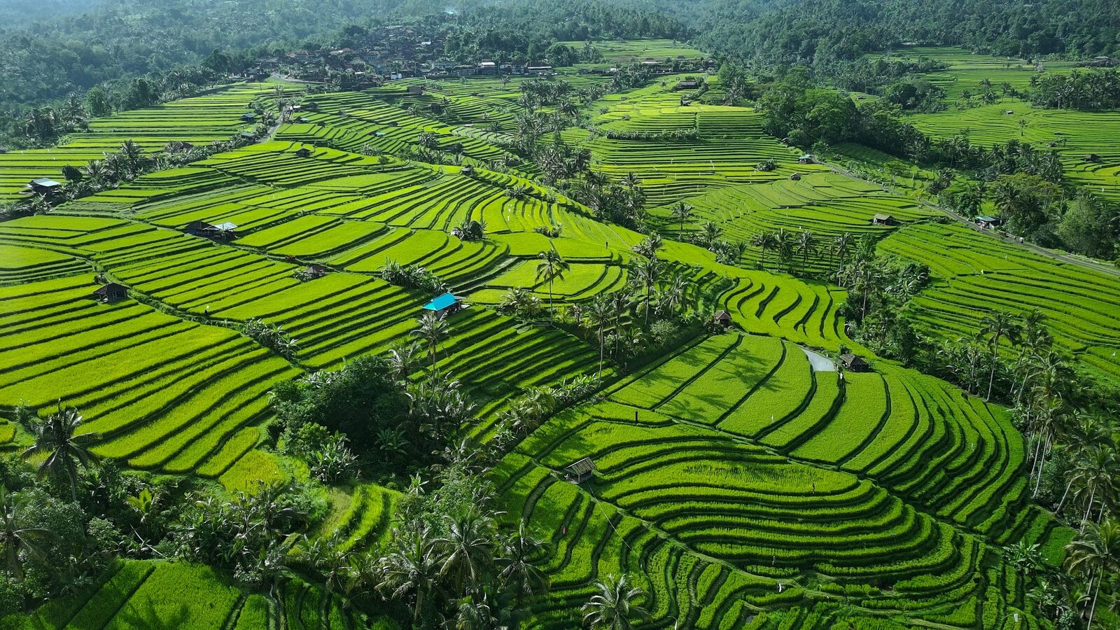 Canggu, Indonesia