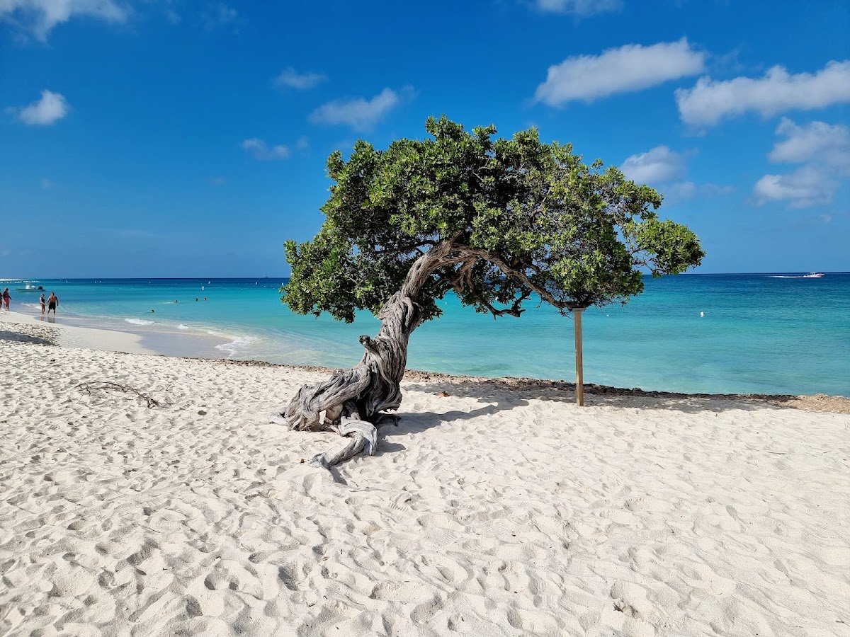 Aruba expat destinations
