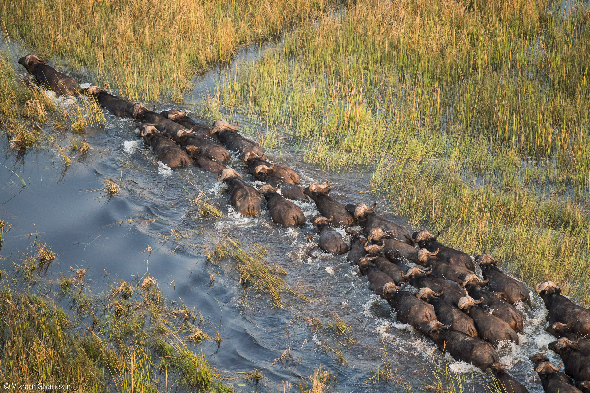 Botswana expat destinations