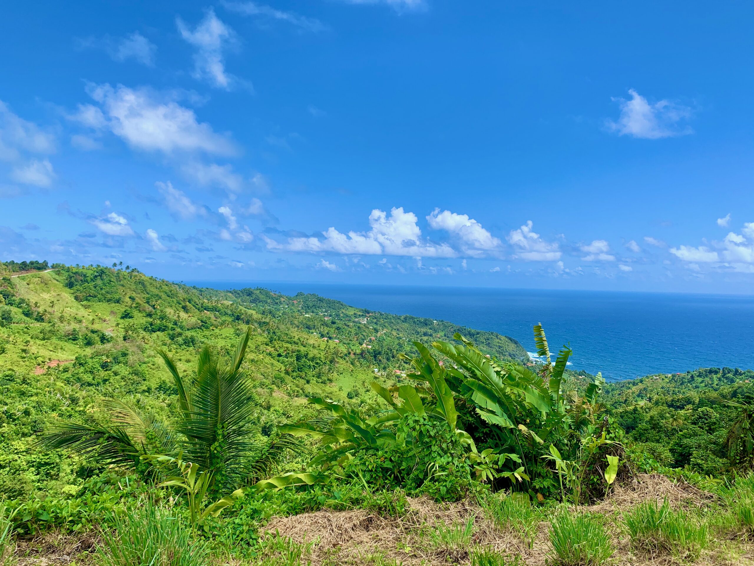 Dominica expat destinations