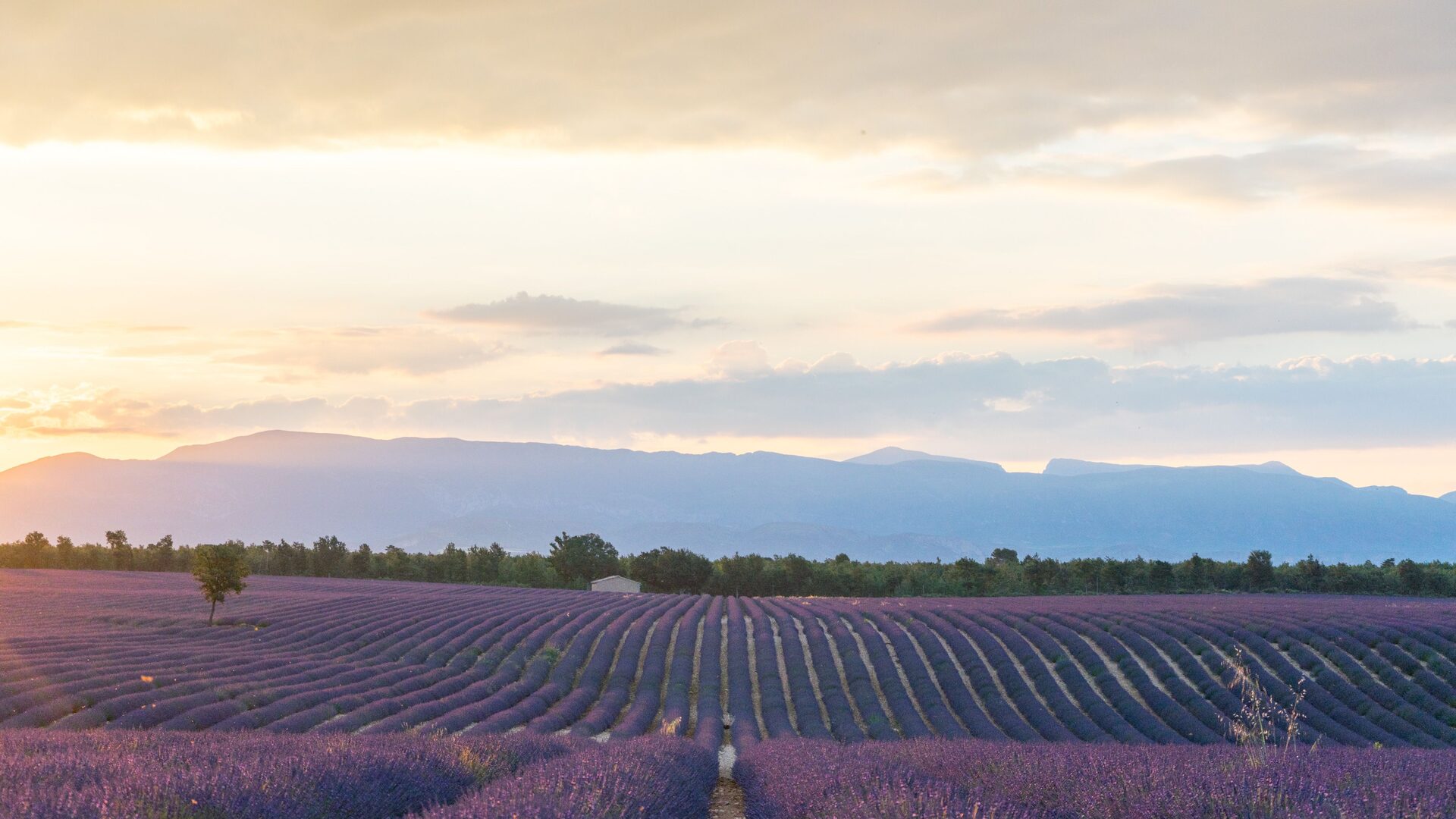 France expat destinations