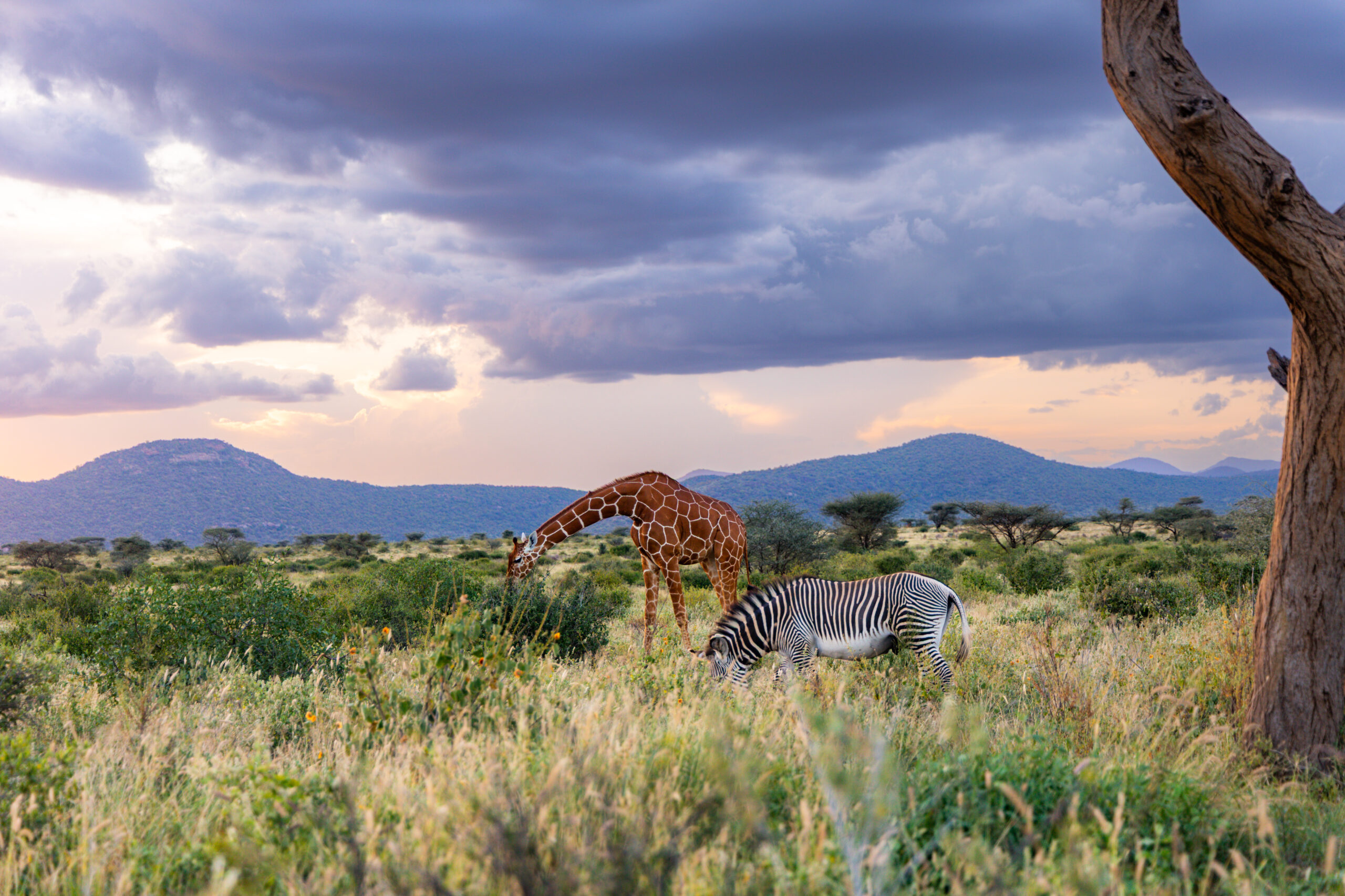 Kenya expat destinations