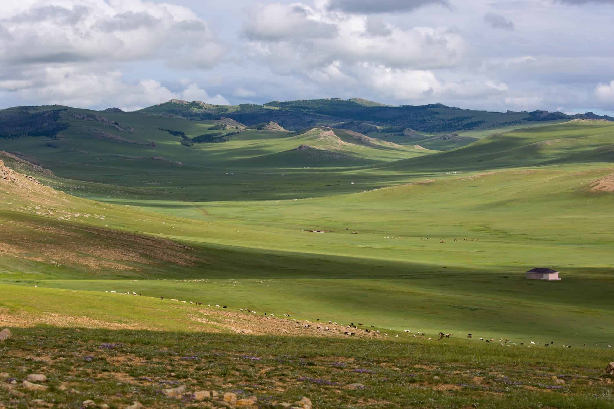 Mongolia expat destinations