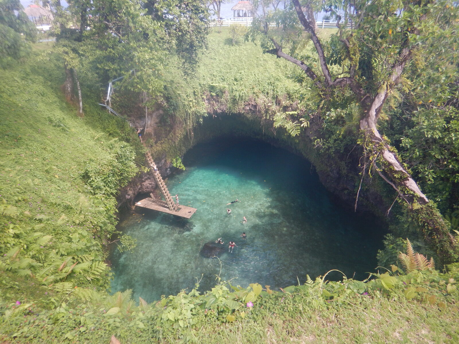 Samoa expat destinations