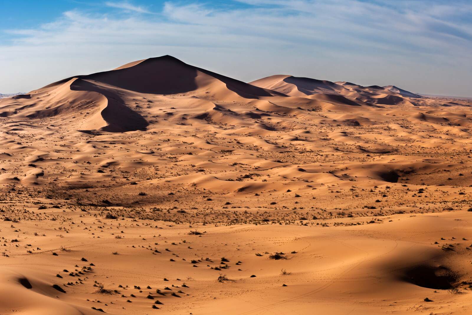 Saudi Arabia expat destinations